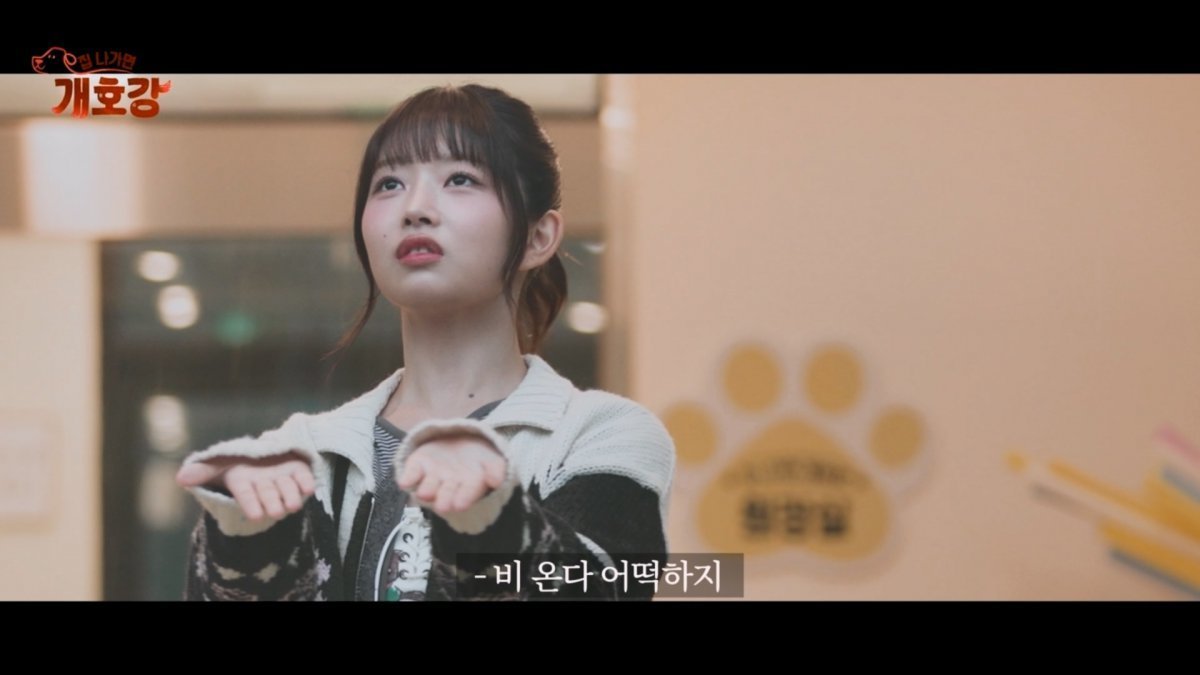 IVE's Rei and TXT's Soobin share a sweet moment on JTBC's Dog Kindergarten